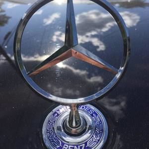 Meet your Posher, Ernesto